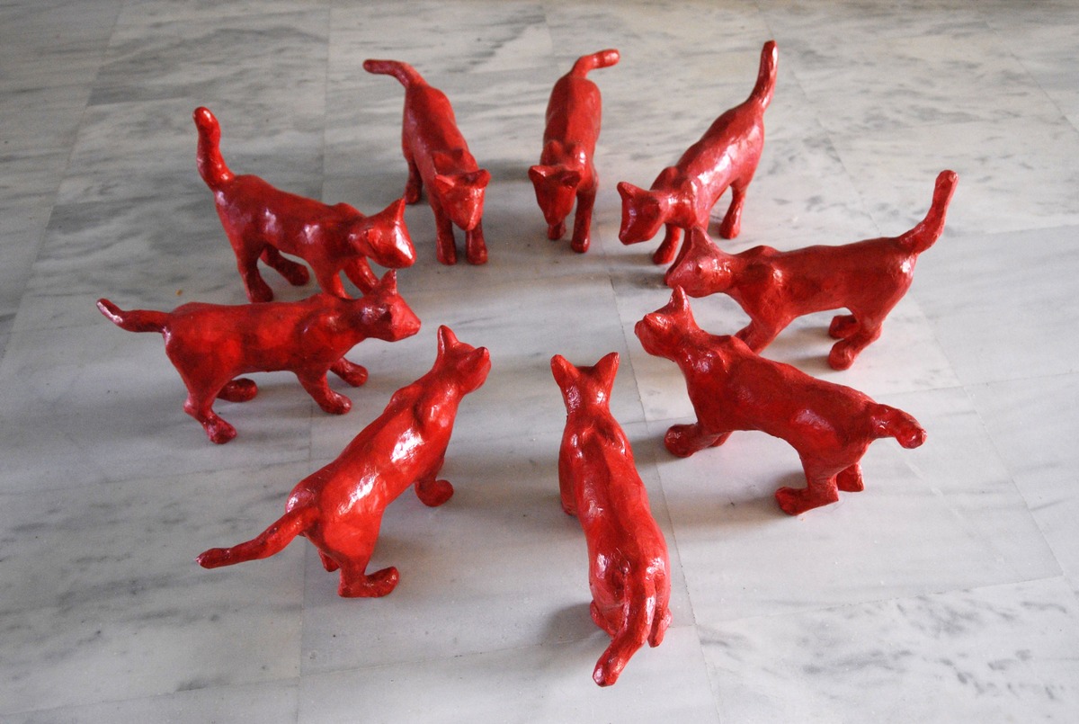 Cats