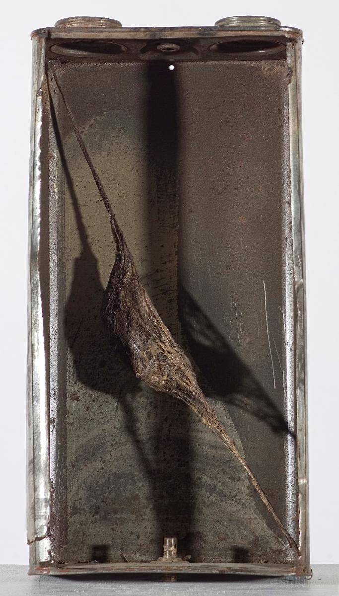 Cocoon