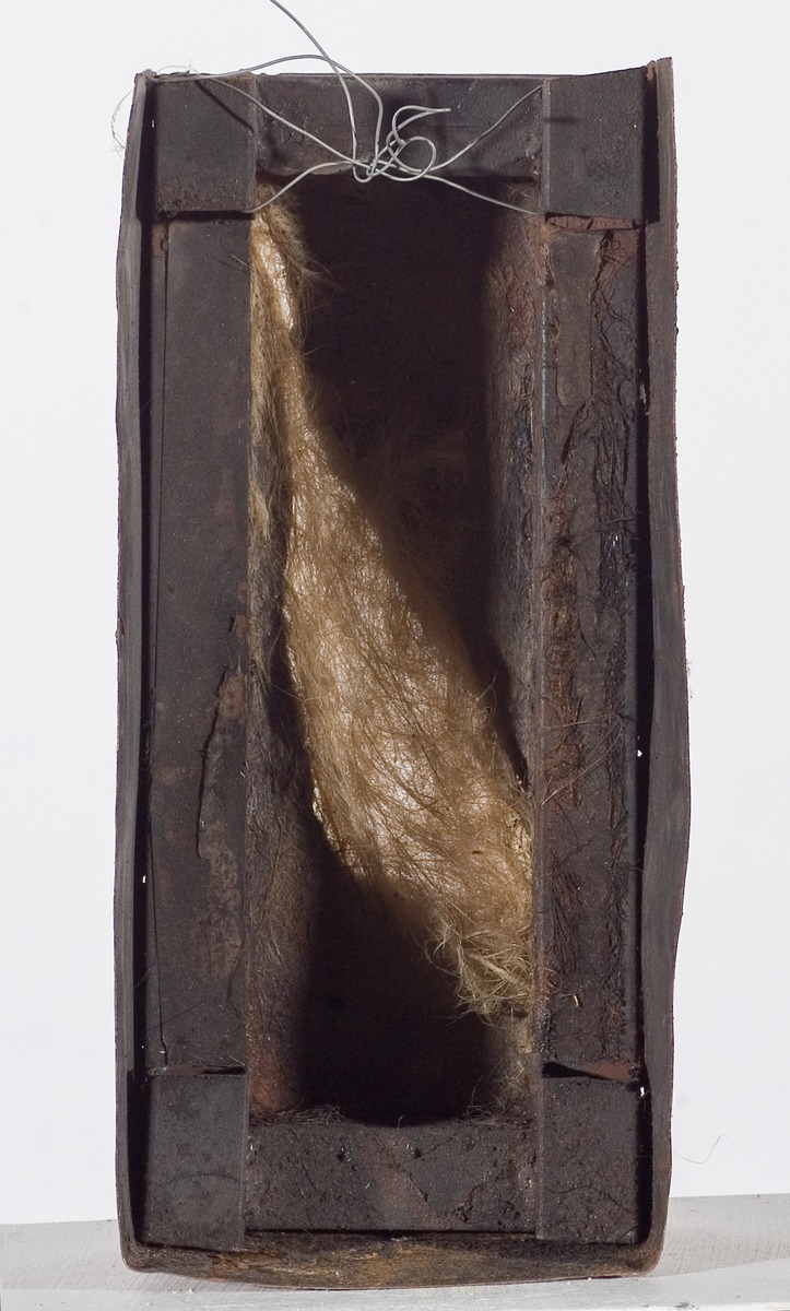 Cocoon