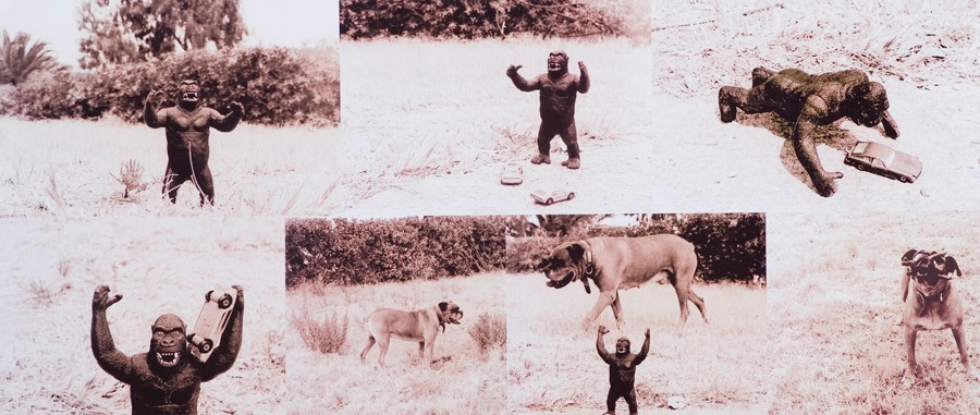Gary VS King Kong