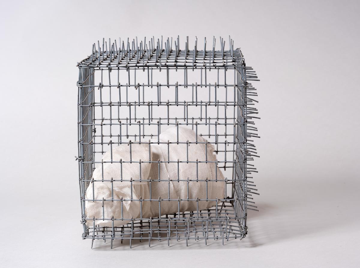 Cage